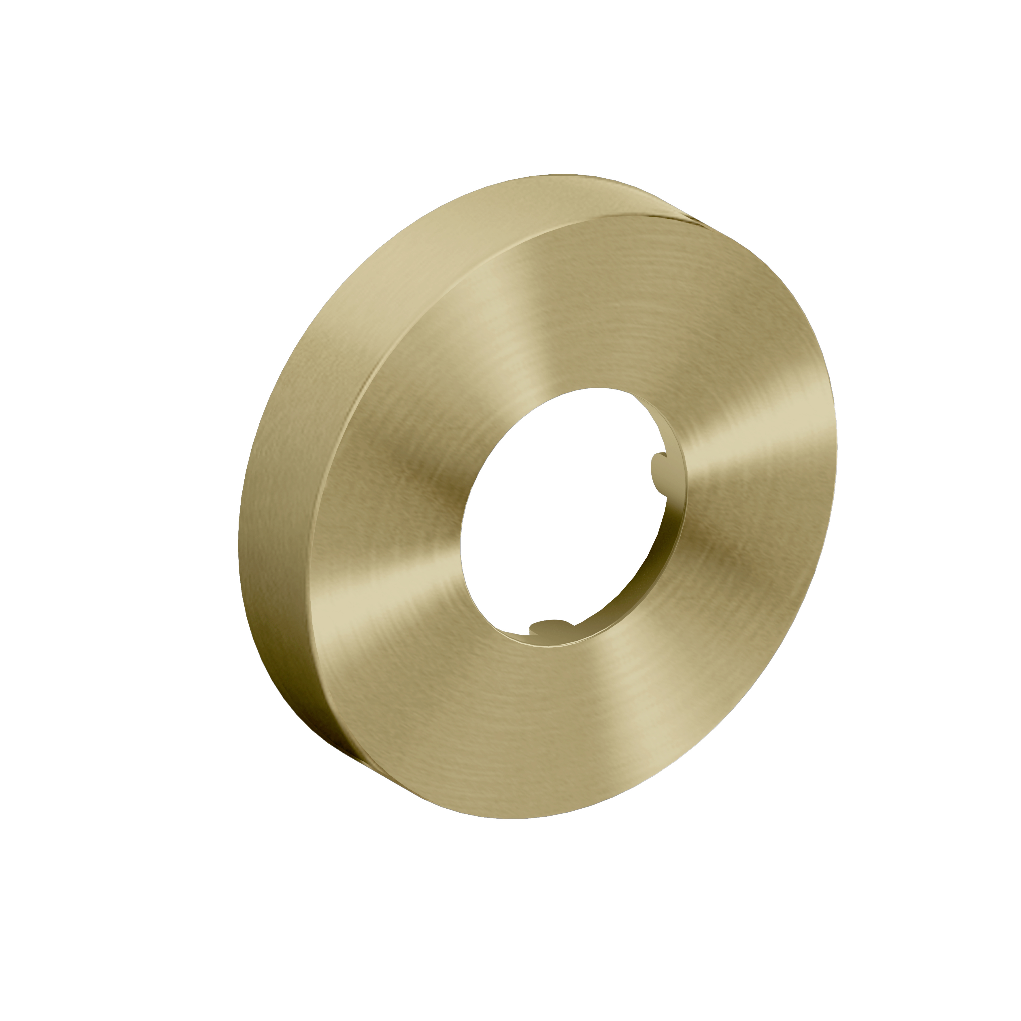 Clou Muurrozet 6cm, goud geborsteld PVD t.b.v. Mini Suk sifon
